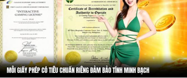 Doanh nghiệp cam kết tuân thủ đầy đủ các quy định pháp luật